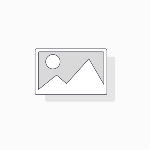 DMEGC 455Wp - N-Type - Silver-White